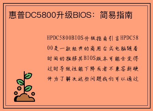 惠普DC5800升级BIOS：简易指南