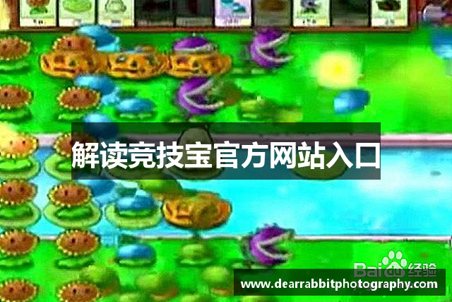 解读竞技宝官方网站入口